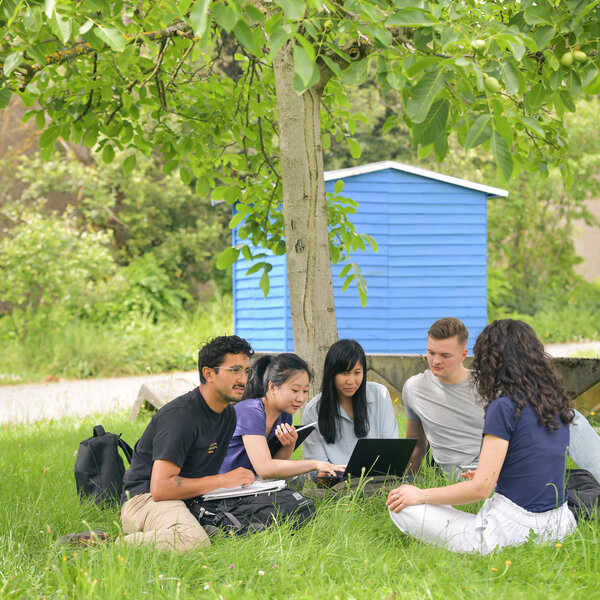 Foto: Eine Gruppe von Personen sitzt auf einer Wiese unter einem Baum. Sie sind um einen Laptop versammelt und scheinen zu arbeiten oder zu lernen. Im Hintergrund ist ein blaues Gebäude sichtbar.