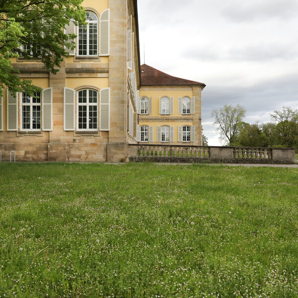 Foto: Seitenansicht von Schloss Hohenheim mit gepflegtem Rasen im Vordergrund und Bäumen im Hintergrund. Das Gebäude zeigt klassische Architektur mit großen Fenstern und gelber Fassade.