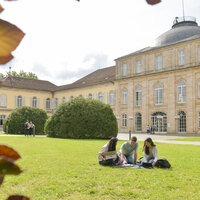 Foto: Drei Personen sitzen auf einer Wiese vor Schloss Hohenheim und arbeiten an Laptops. Im Hintergrund sind weitere Personen und das historische Gebäude sichtbar.