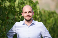 Foto: Eine Person in einem gestreiften Hemd steht in einem Weinberg, umgeben von grünen Blättern. Der Hintergrund zeigt eine Reihe von Reben.