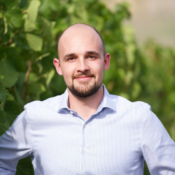 Foto: Eine Person in einem gestreiften Hemd steht in einem Weinberg, umgeben von grünen Blättern. Der Hintergrund zeigt eine Reihe von Reben.