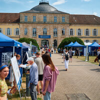 Foto: Schloss Hohenheim mit mehreren Personen, die an Informationsständen vorbeigehen. Ein Banner mit der Aufschrift 'Universität Hohenheim' ist sichtbar. Im Hintergrund ist das historische Gebäude mit Kuppeldach zu sehen.